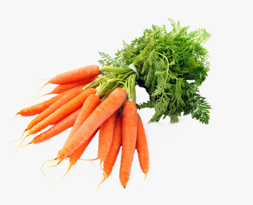 Carrots Png Image - Transparent Carrots Png, Png Download, Free Download