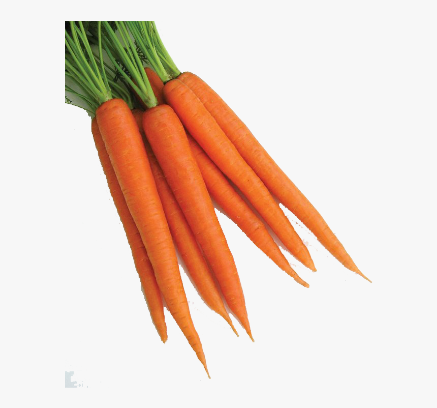 Carrot Png Clipart - Carrot Png, Transparent Png, Free Download