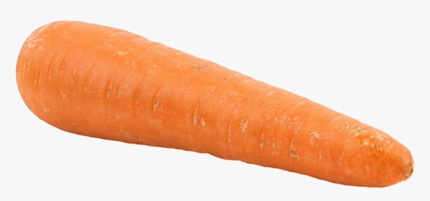 Big Carrot Png - Carrot Png, Transparent Png, Free Download