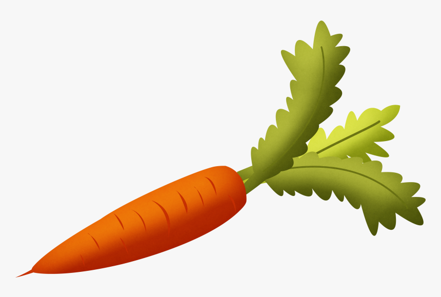 Carrot Png Image - Transparent Background Carrots Clipart, Png Download, Free Download