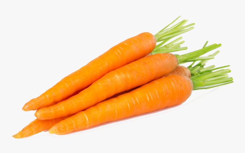 Carrot Png Free Background - 1 Carrot, Transparent Png, Free Download