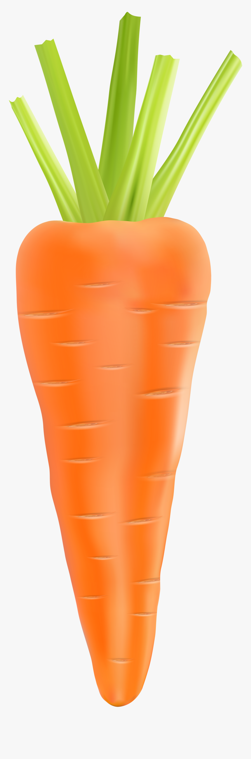 Carrot Png Clip Art, Transparent Png, Free Download