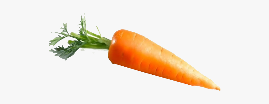Carrot Png Pic - Baby Carrot, Transparent Png, Free Download