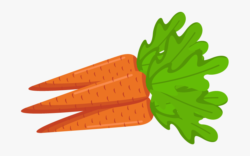 Carrot Png - Transparent Background Carrot Clipart Carrot Png, Png Download, Free Download