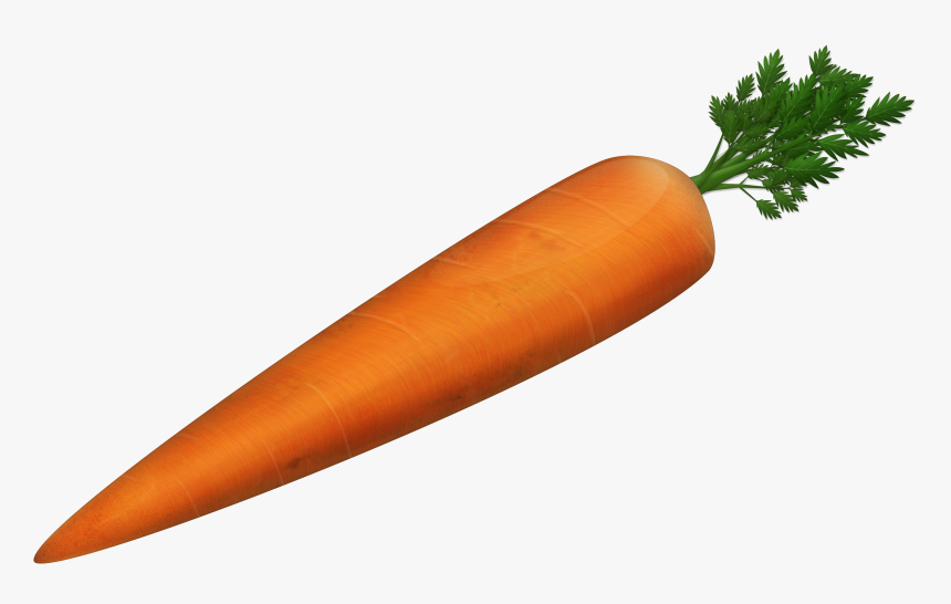 Carrot Png Photo - High Resolution Carrot, Transparent Png, Free Download