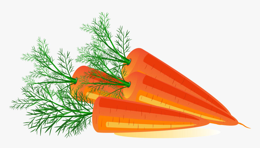 Carrot Png Image - Transparent Background Carrot Clip Art Png, Png Download, Free Download