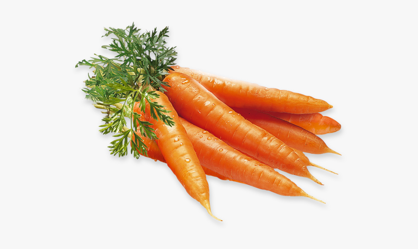 Carrot, Green Bites Cafe San Jose Meal Prep Fitness - Carrot Png, Transparent Png, Free Download