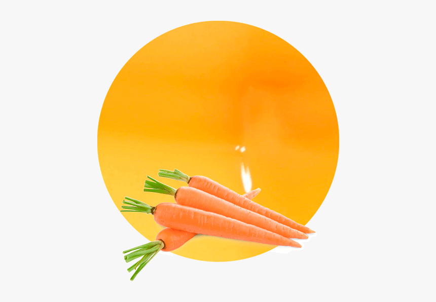 Vegetables Purees Png, Transparent Png, Free Download