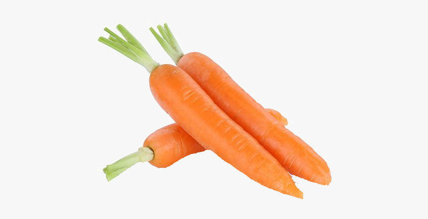 Carrot Png Free Images - China Carrot, Transparent Png, Free Download
