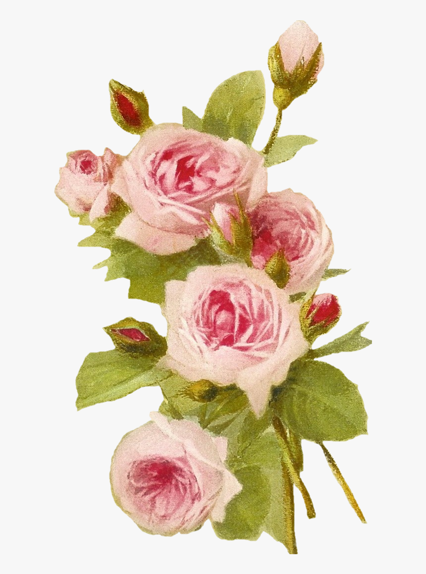 Fondos De Rosas Rosas, HD Png Download, Free Download