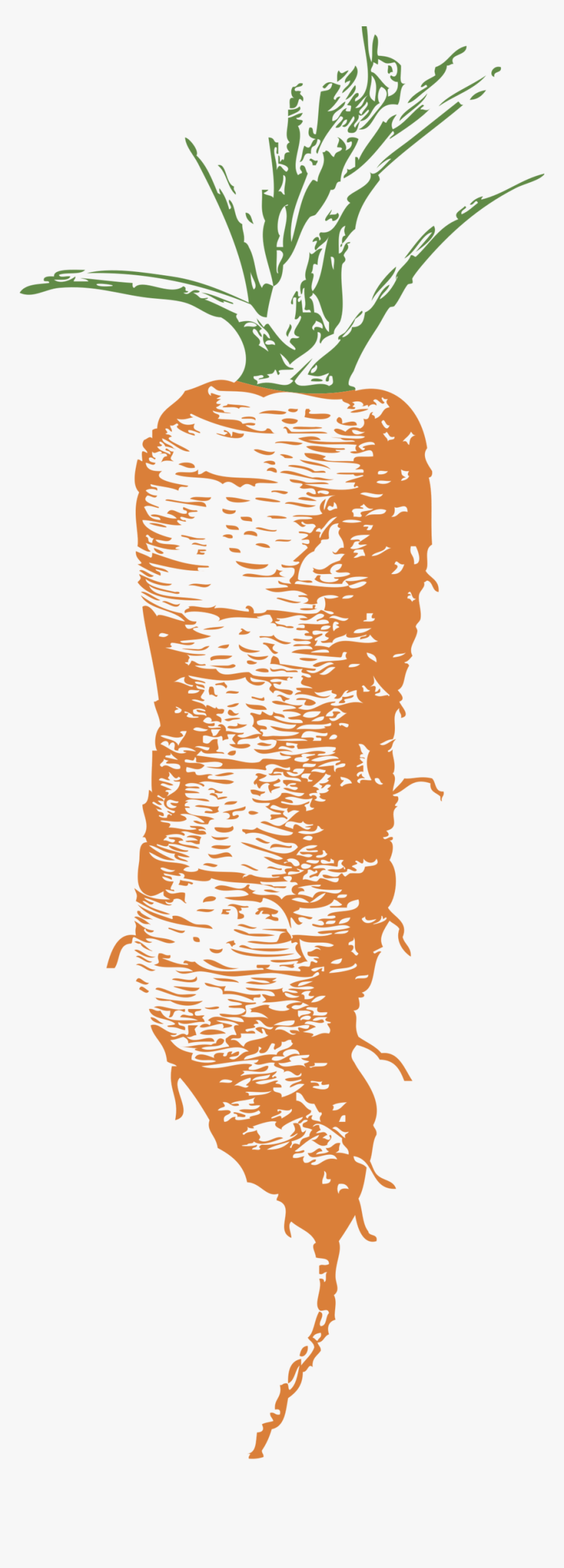 Carrot, Pages Linkedin Learning Teaching Tips - Carrot Illustrations, HD Png Download, Free Download