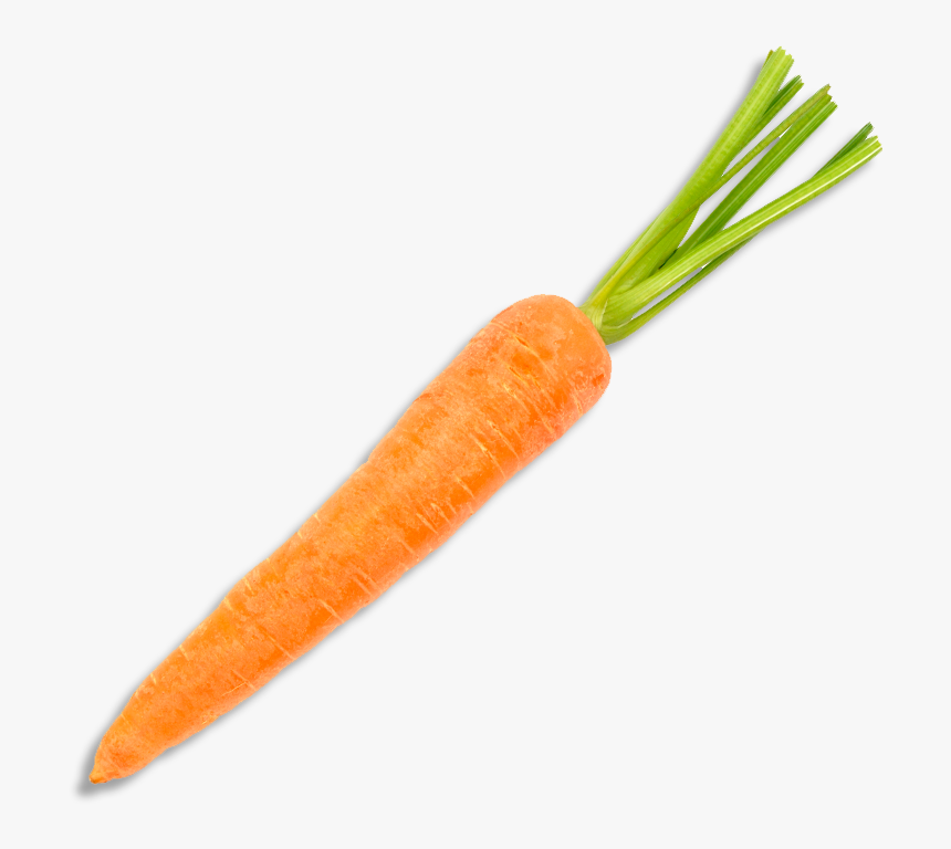 Carrot From Top Png, Transparent Png, Free Download