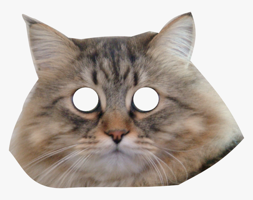 Kitten Face Png - Cat Face Transparent Background, Png Download, Free Download