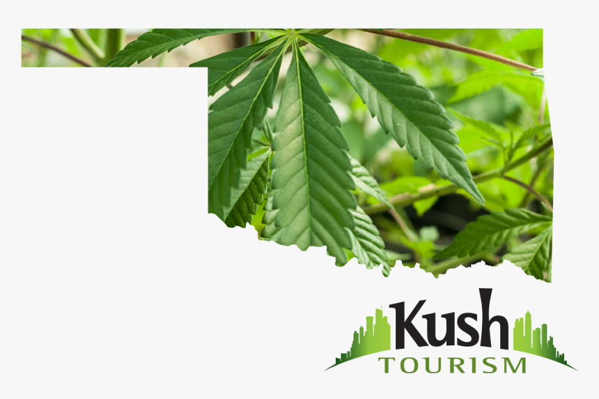 Oklahoma Marijuana Leaf , Png Download - Marijuana Banking Oklahoma, Transparent Png, Free Download