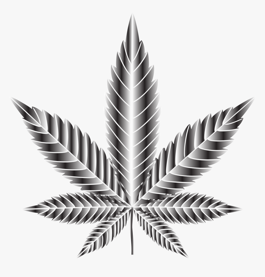 Marijuana Leaf Type Ii Duochrome - Cannabis, HD Png Download, Free Download