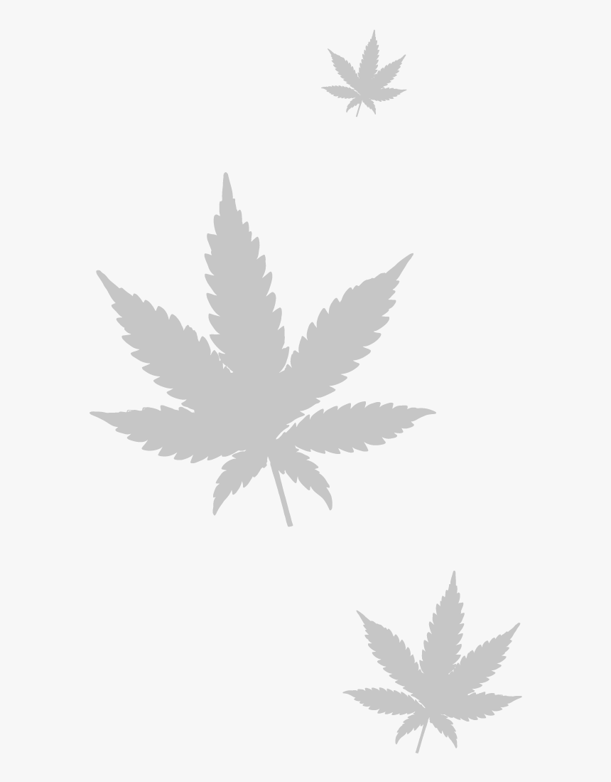 Marijuana Leaf Png - Marijuana Leaf, Transparent Png, Free Download