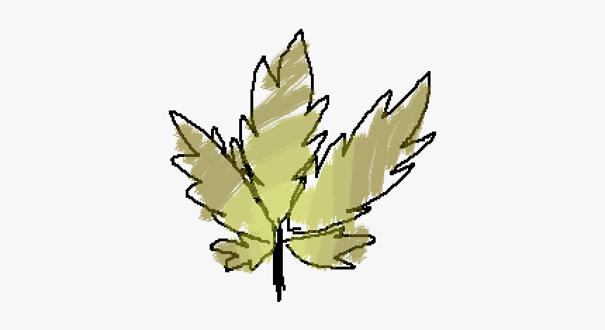 Silver Maple, HD Png Download, Free Download