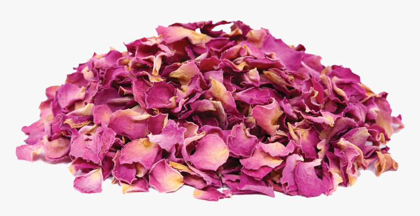 Herbs & Botanicals - Transparent Dried Rose Petals, HD Png Download, Free Download