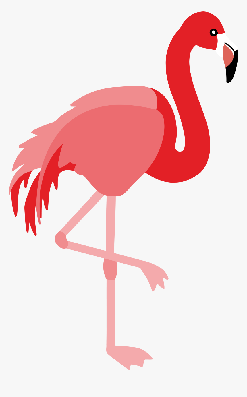 Flamingo Clipart Png, Transparent Png, Free Download