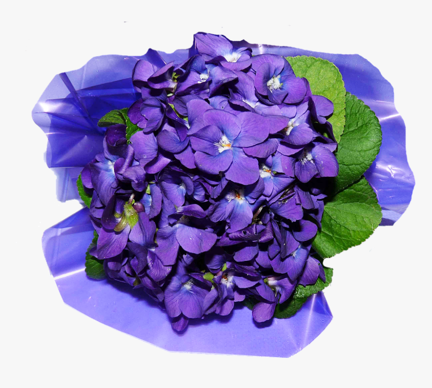 Flower Petals Png Image - Artificial Flower, Transparent Png, Free Download