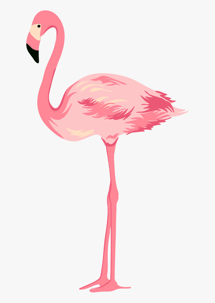 Flamingo Png, Transparent Png, Free Download