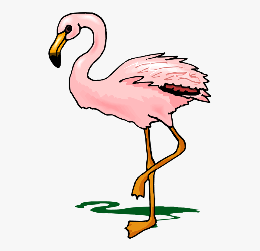 Cartoon Transparent Flamingo - Flamingo Clipart, HD Png Download, Free Download