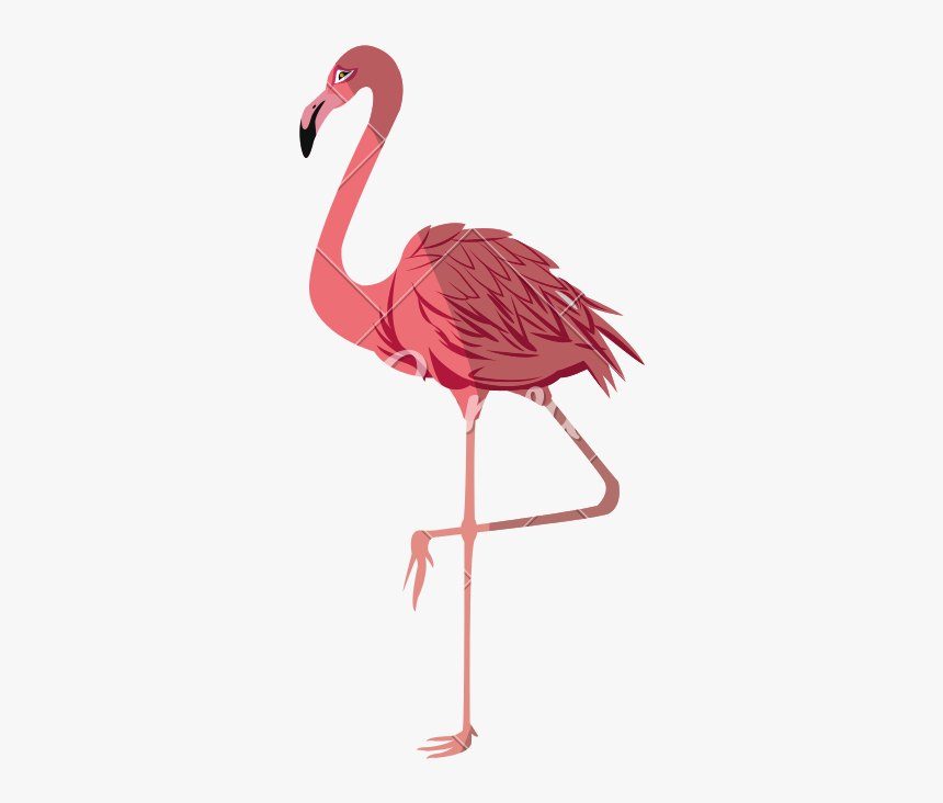 Pink Flamingo Vector - Png Transparent Flamingo Png Vector, Png Download, Free Download