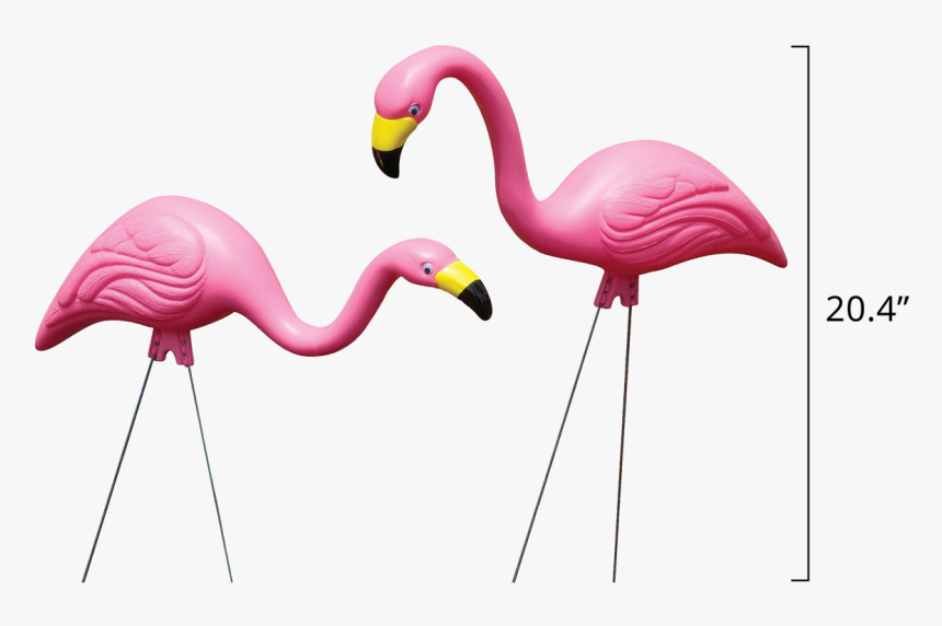 Flamingos In Pink - Garden Flamingo, HD Png Download, Free Download