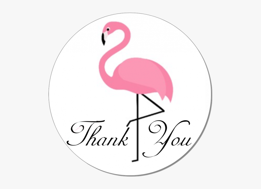 Greater Flamingo, HD Png Download, Free Download