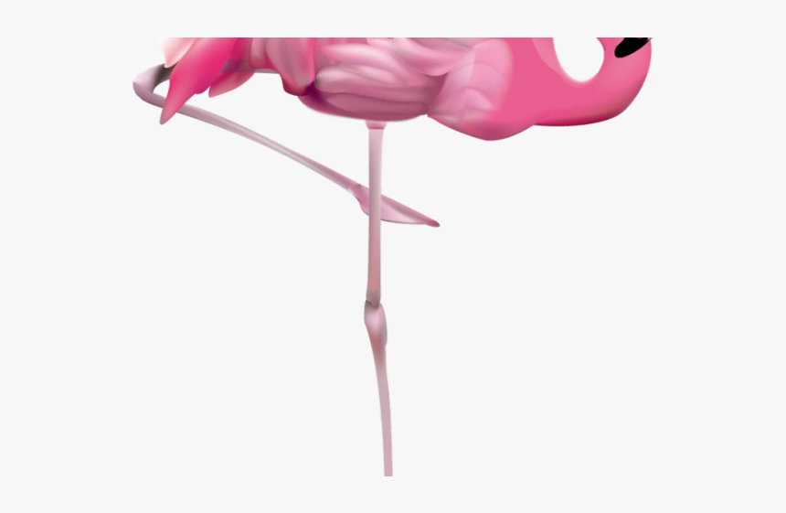 Flamingo Png Transparent Images - Transparent Background Flamingo Free, Png Download, Free Download