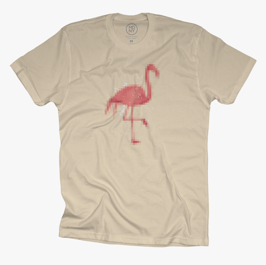 Flamingo, HD Png Download, Free Download