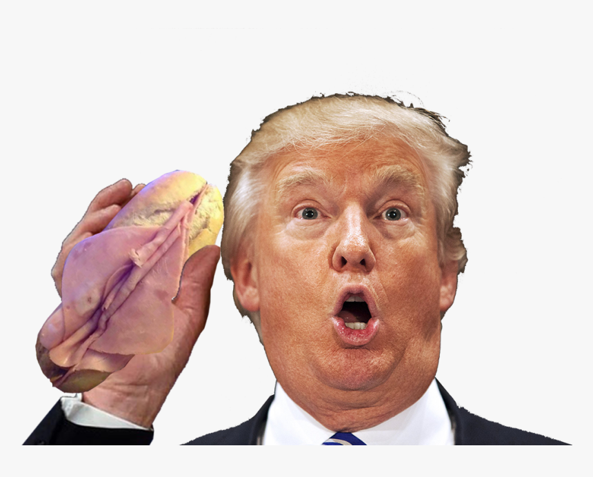 Transparent Donald Trump Head Png - Trump Stupid Face, Png Download, Free Download