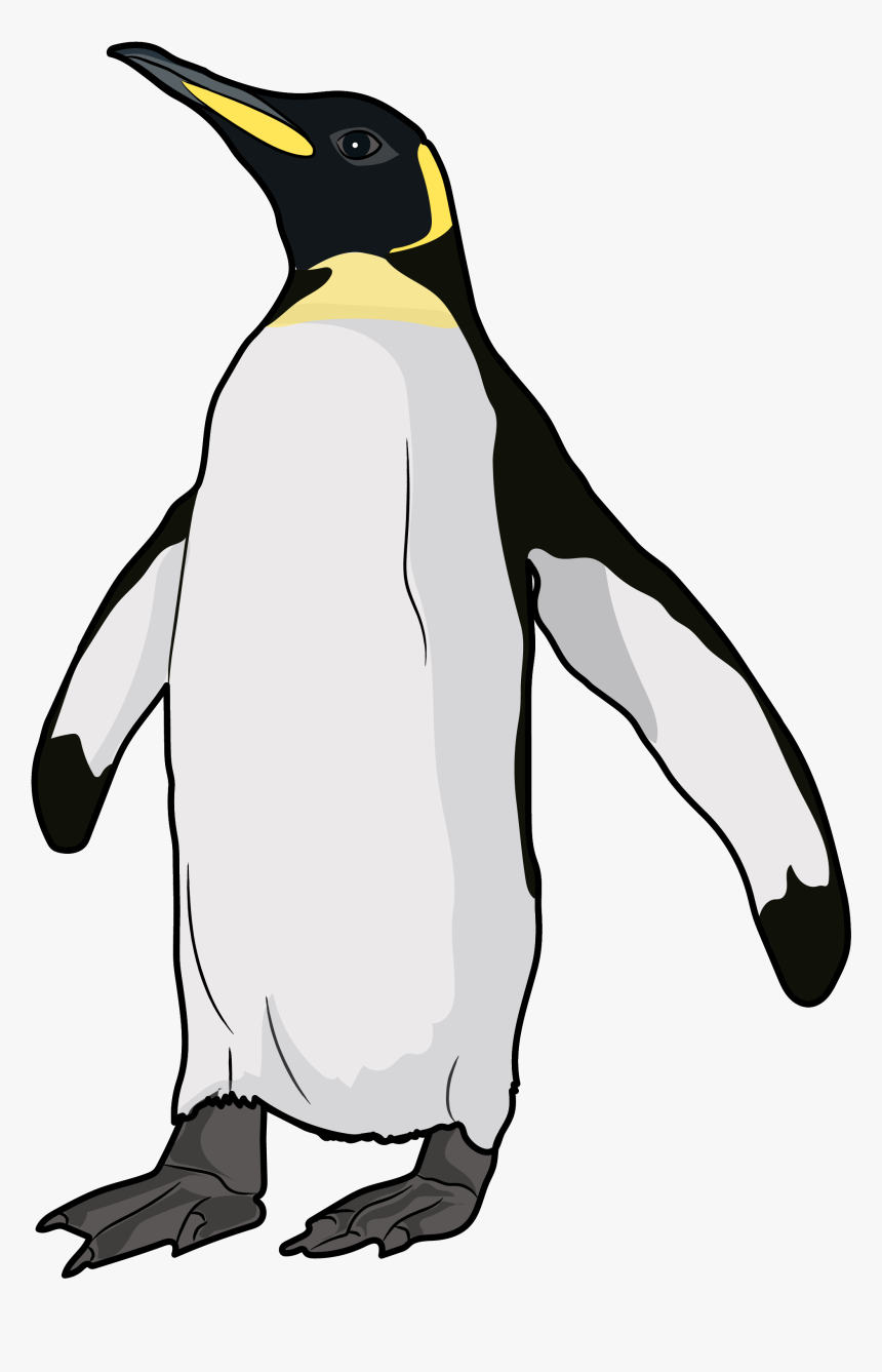 King Penguin, HD Png Download, Free Download
