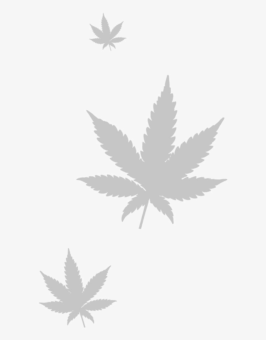 Marijuana Leaf Png - Cannabis, Transparent Png, Free Download