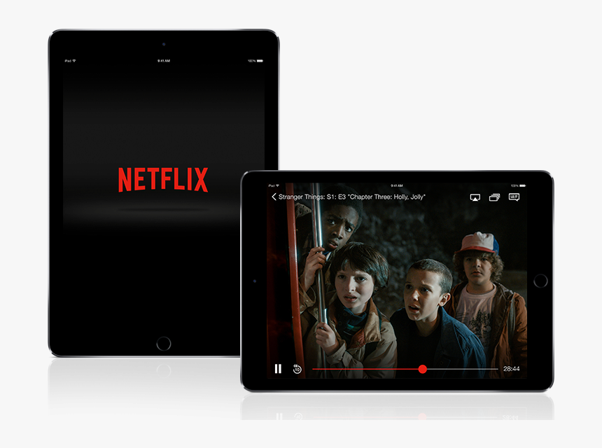 At No Extra Cost To The User, Netflix Subscribers Are - Tyler From Stranger Things, HD Png Download, Free Download