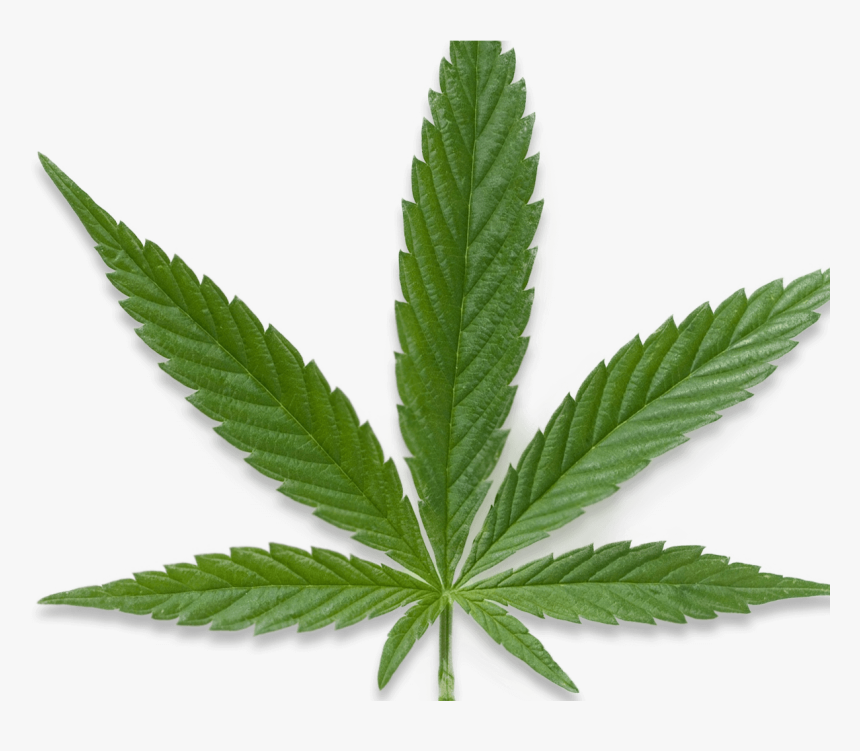 Cannabis, HD Png Download, Free Download