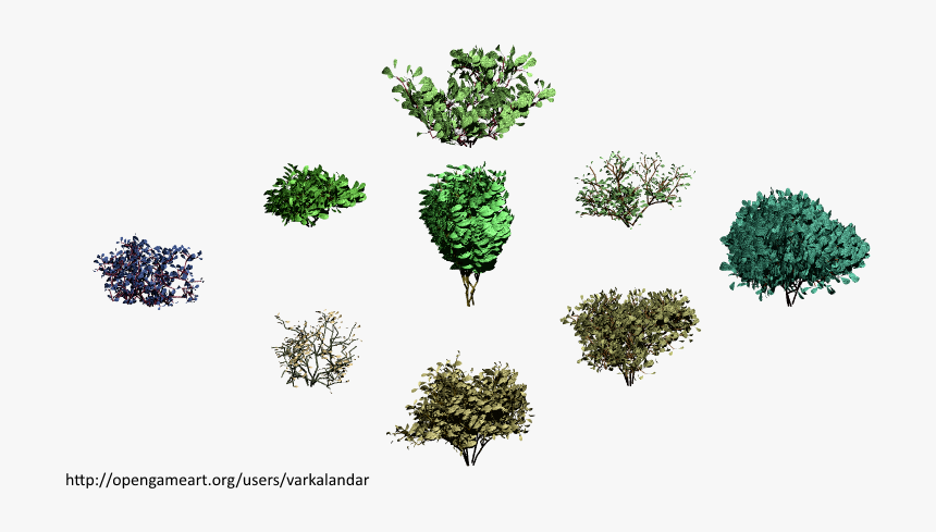 Hjm Bushes 08 Alpha - Broccoli, HD Png Download, Free Download