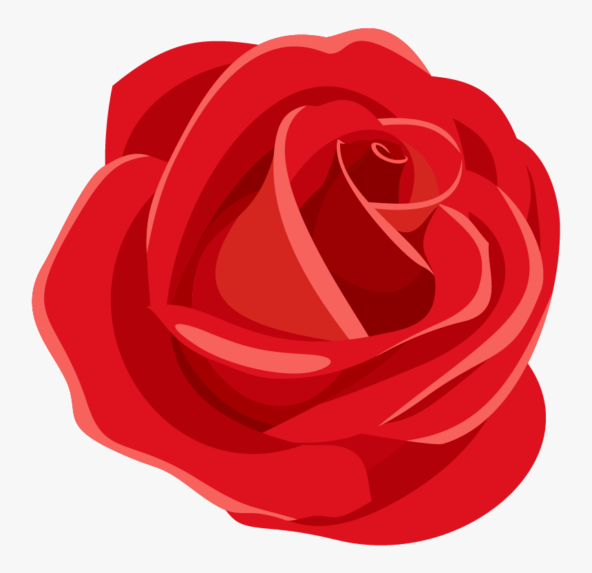 Red Rose - Floribunda, HD Png Download, Free Download