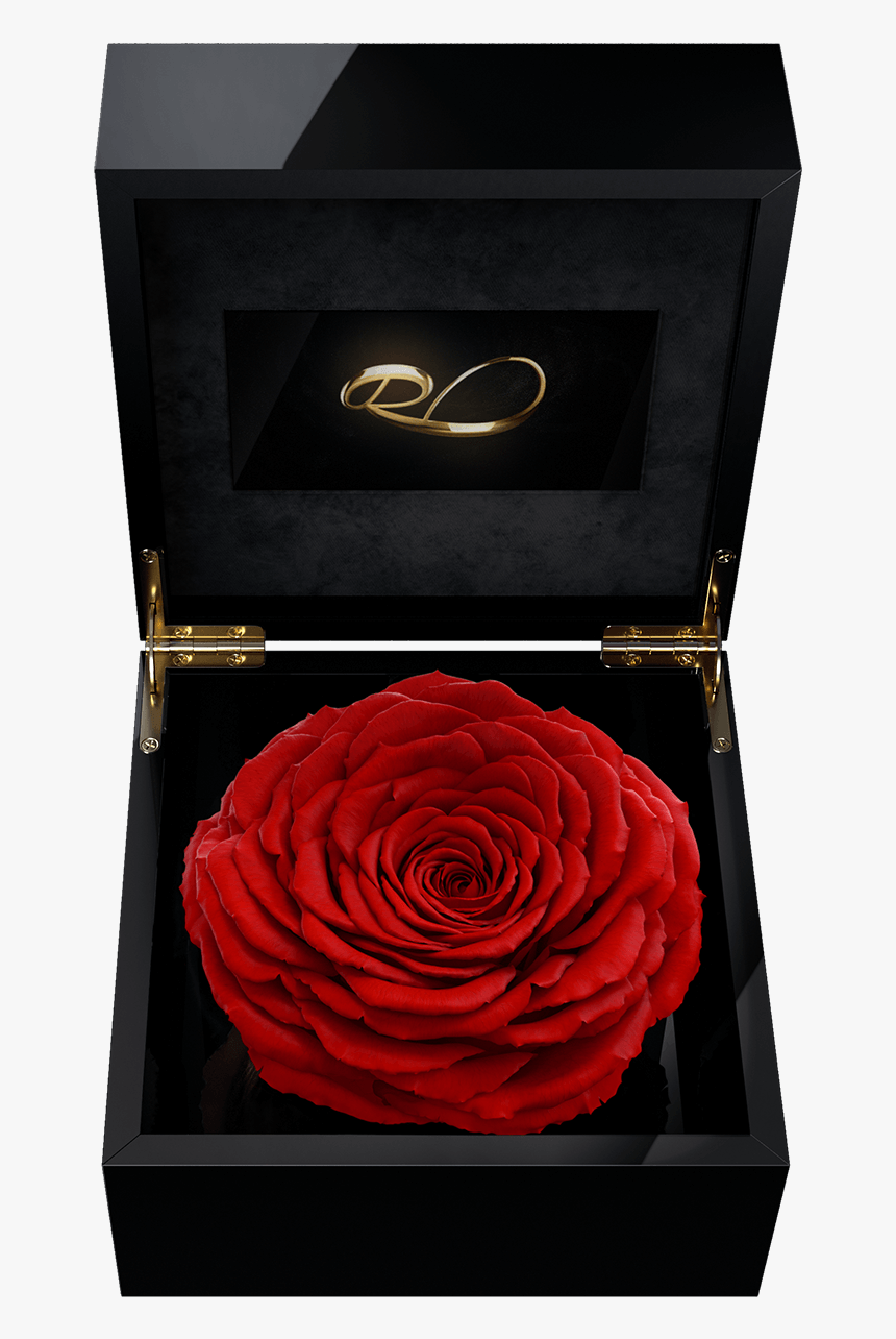 Luxury Video Flower Box Magna With A Xl Preserved Red - Rose Box With Video, HD Png Download, Free Download