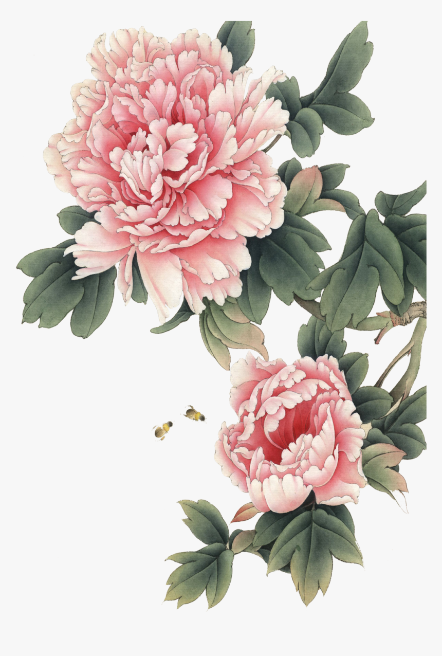 Peony Chinese Painting Png, Transparent Png, Free Download
