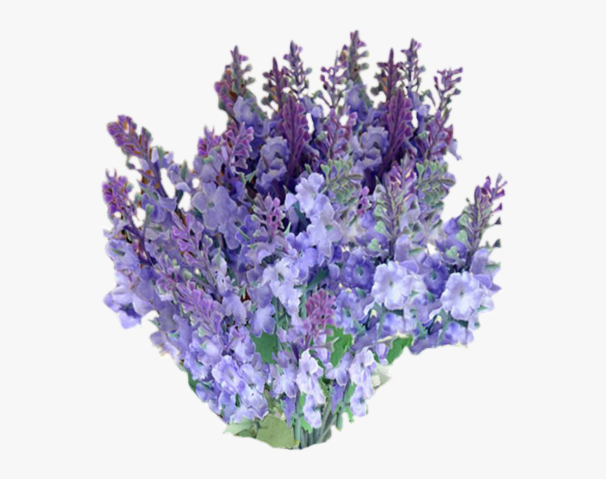 Lavender Flower Transparent Background, HD Png Download, Free Download