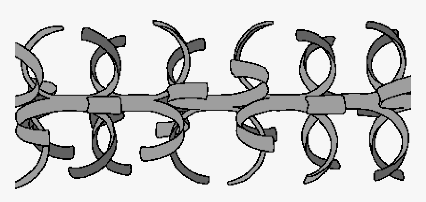 Barbed Wire , Png Download - Graphics, Transparent Png, Free Download