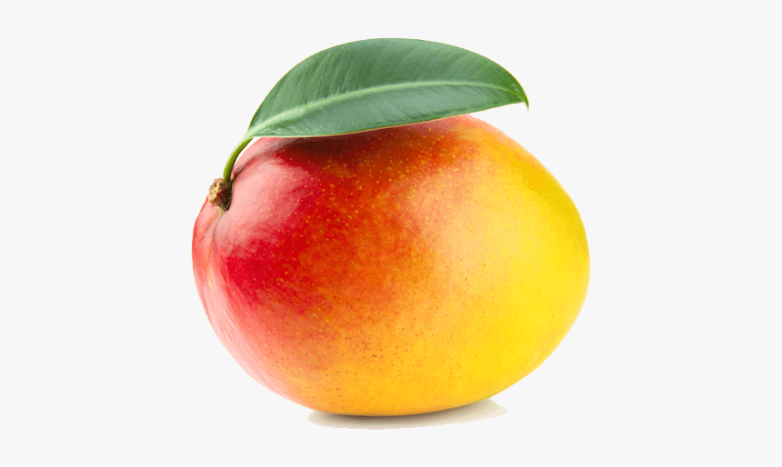 Mango - Imagenes De Una Mango, HD Png Download, Free Download