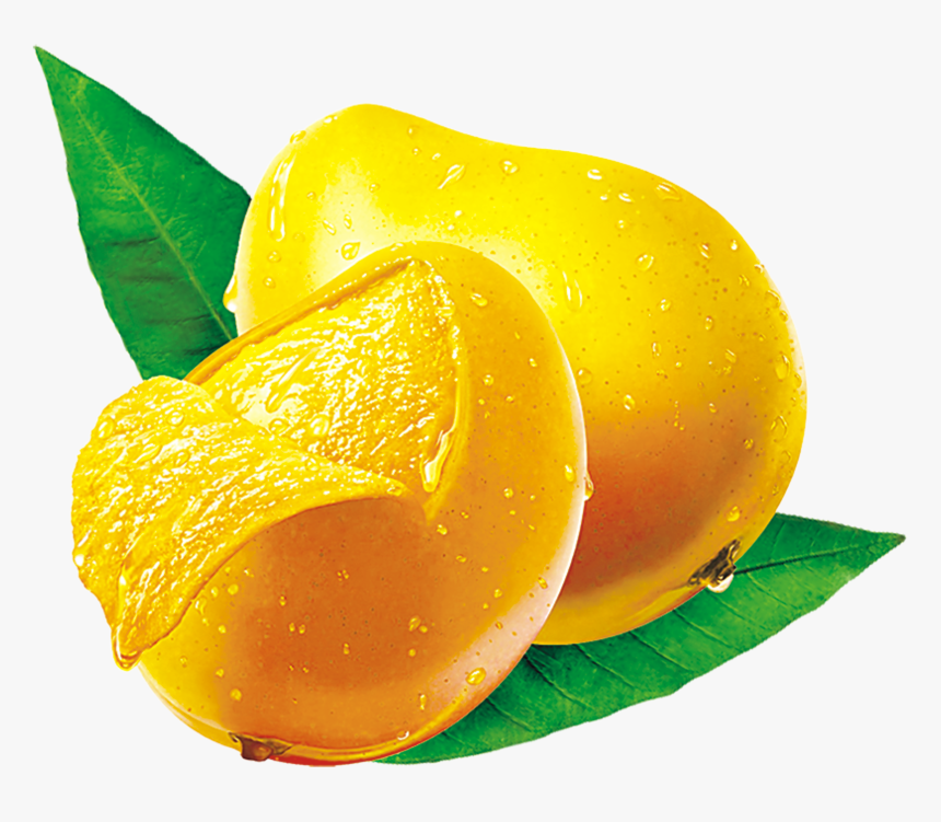 Mango Png Image Free Download - Mango Png, Transparent Png, Free Download