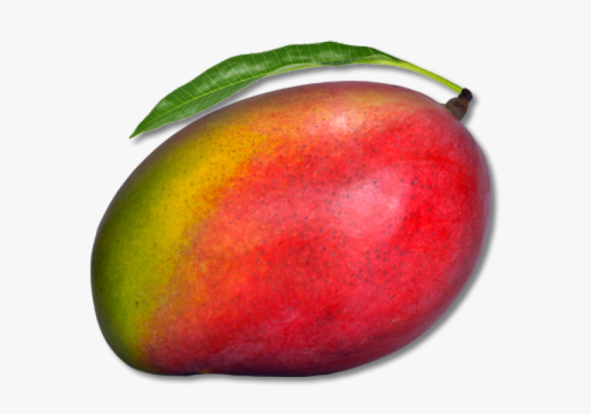 Mango Png Free Download - Mango With Transparent Background, Png Download, Free Download