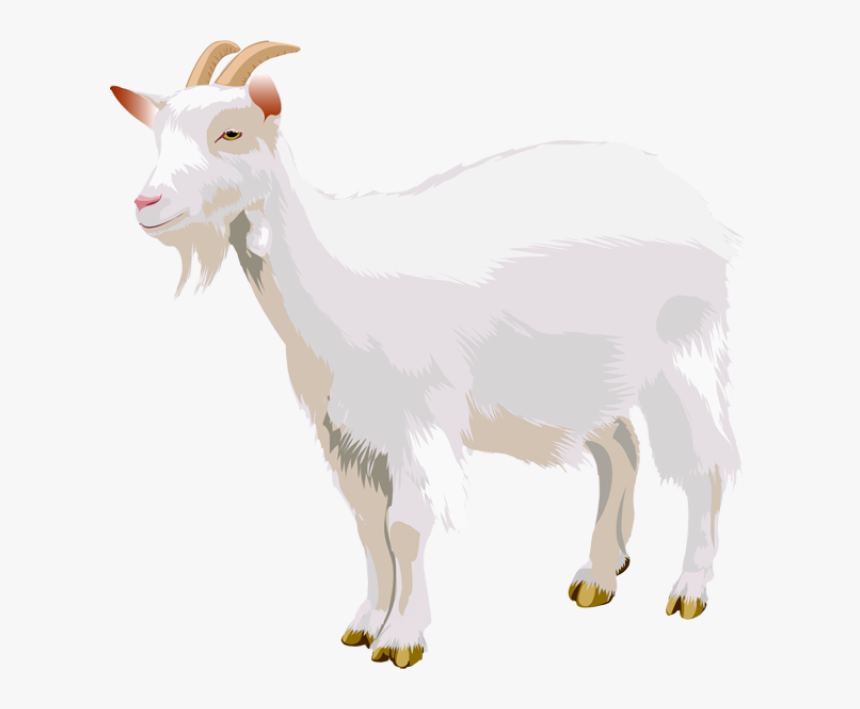 Goat Png - Transparent Background Goat Clipart, Png Download, Free Download