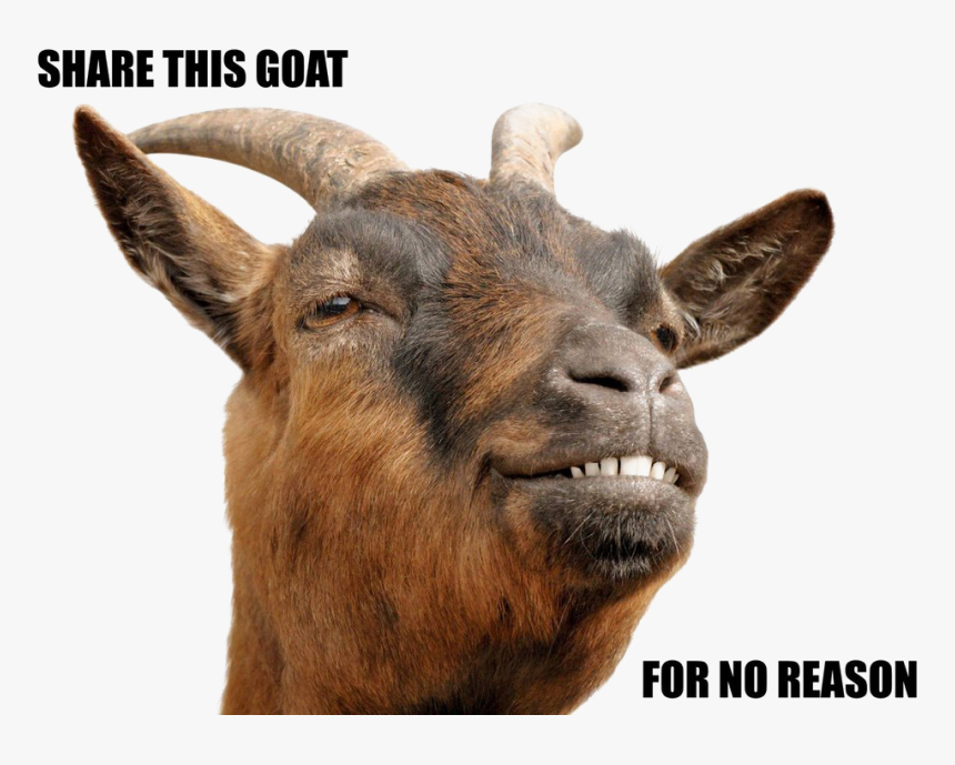 Goat Png Download Image - Goat Head Png, Transparent Png, Free Download