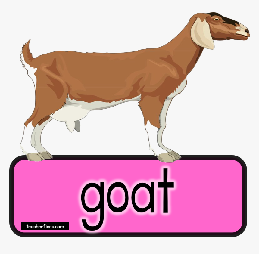 Goat Clipart Bakri - Bakri Png, Transparent Png, Free Download