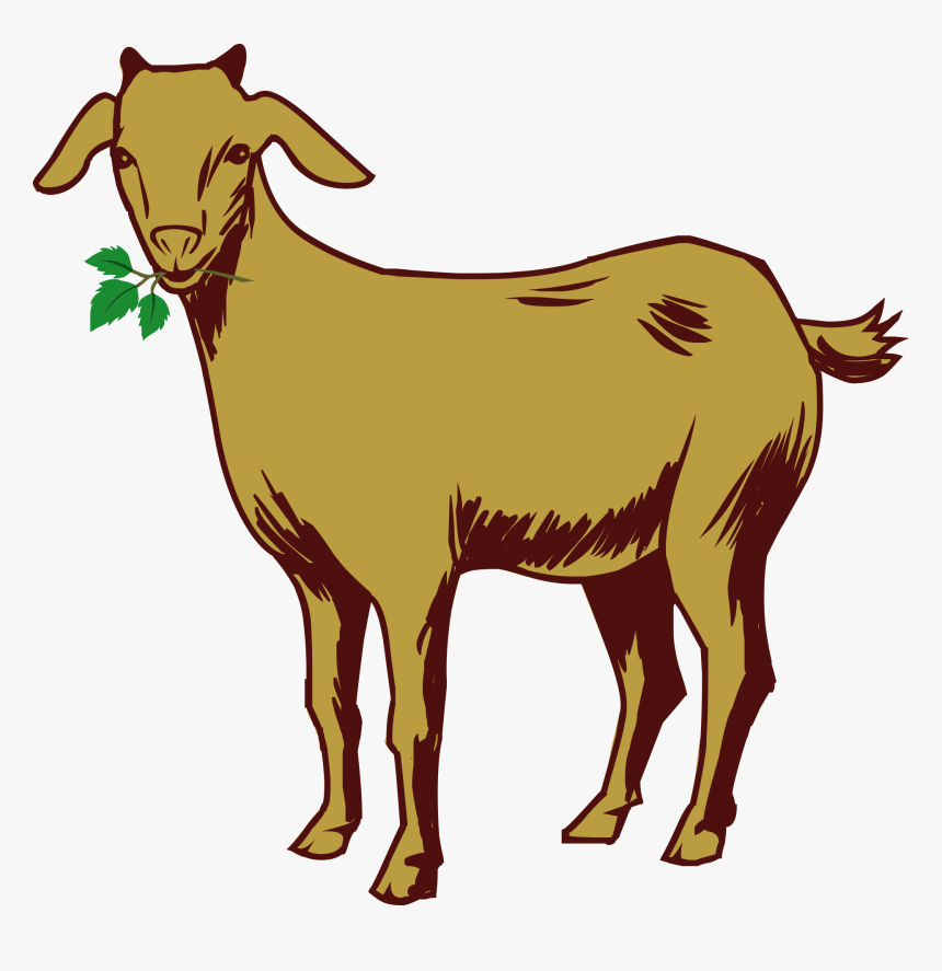 goat png images