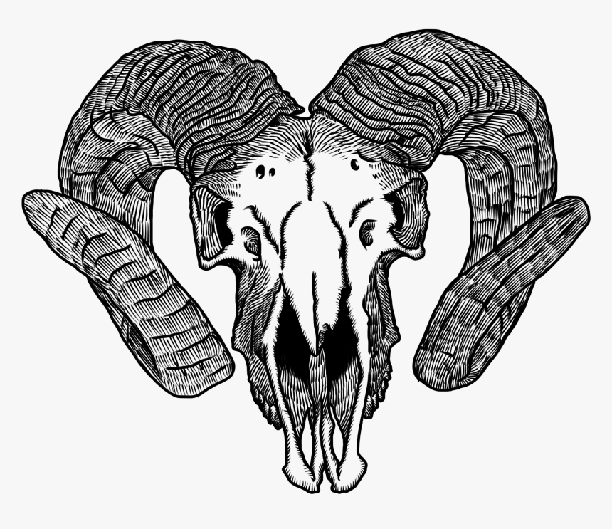 Saos Goat Skull 2012 08 14 00 34 21 - Goat Skull Drawing Png, Transparent Png, Free Download